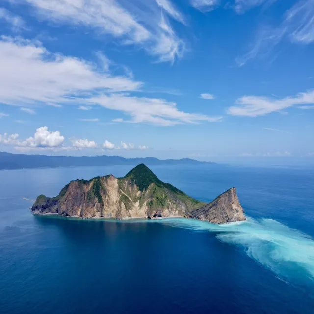 宜蘭新福豐168賞鯨旅遊｜兒童票★賞鯨＋繞龜山島（附導覽解說）