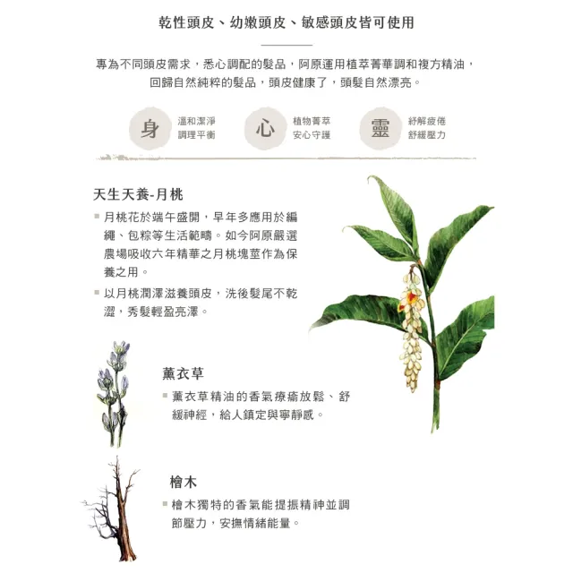 【阿原】薰衣草洗髮露500mL*2(洗髮精)(清潔同時保養)