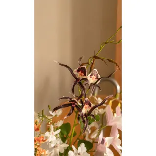 【Hutte】Orchid Garden Gift Box 擬真蘭園禮盆 (Bergspotter Elizabeth)