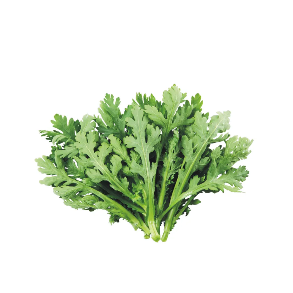 【小美紀】高優質 種子(窩苣 茼蒿 A菜 菠菜 菜苗 南瓜 大陸妹 土壤種植 蔬菜 盆栽 種子 介質)