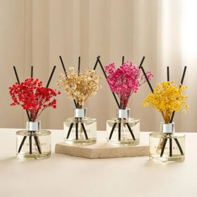 【COCODOR】永生花擴香瓶1+1超值組(永生花120mlx1+經典200mlx1/多款任選/韓國香氛/七夕情人節/送禮)
