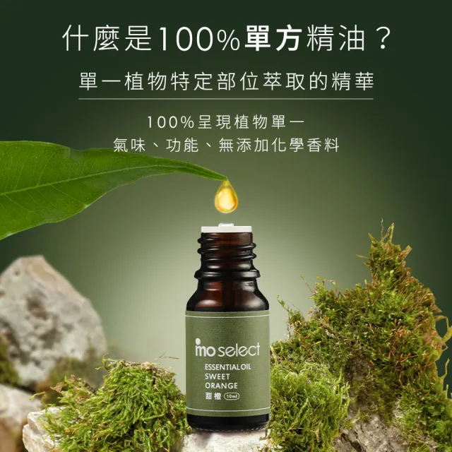 【mo select】100%植物精油果香/草本/花木調10ml(mo選/多款任選/精油/香氛精油/水氧機精油)