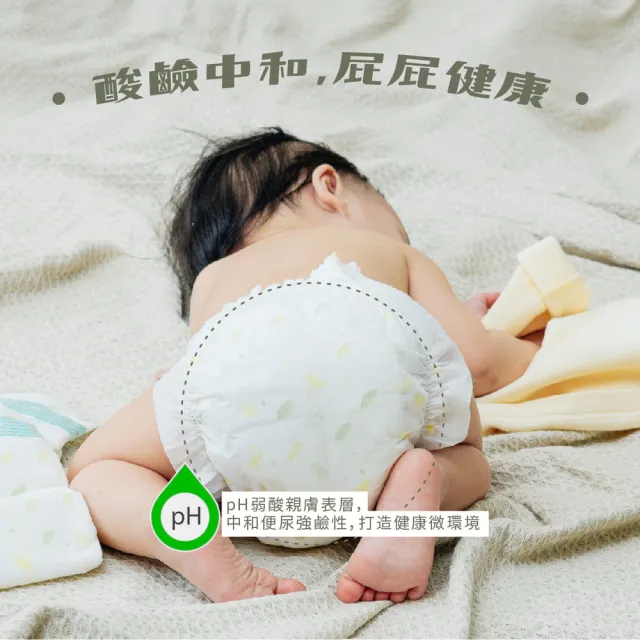 【PureBaby 波比】植萃抑菌接財褲 黏貼型 S-XL(單包) 2026全新升級款(北港武德宮獨家聯名)無甲醯胺