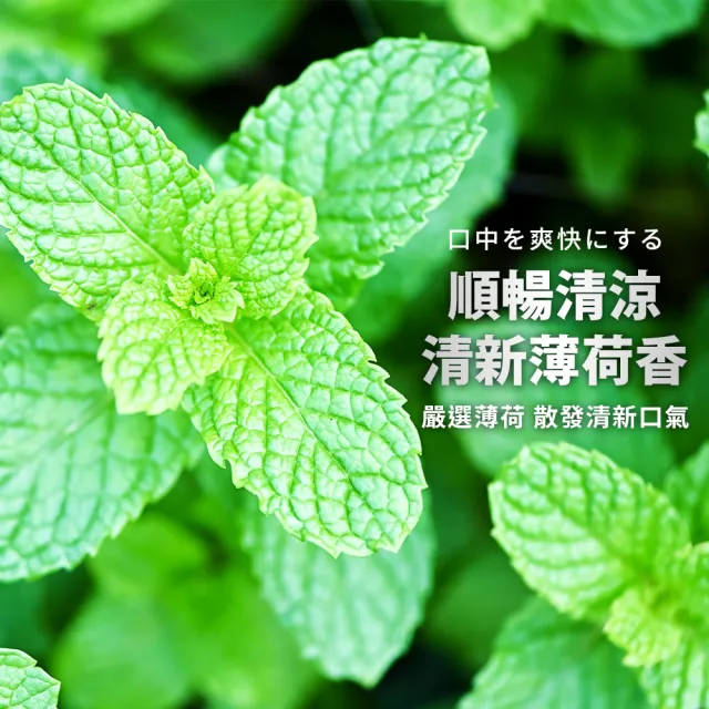 【LION 獅王】NONIO終結口氣全效薄荷漱口水 1000mlx2入組(全效薄荷無酒精/mopro限定)