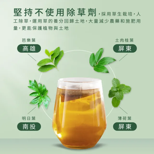 【Dr. Ginger 薑博士】芭樂葉清漾茶(2.5g/10包/袋)共2袋