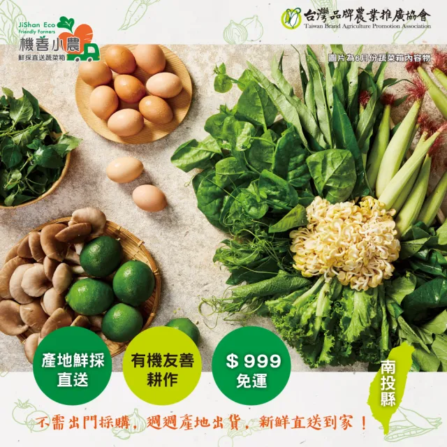 【機善小農】蔬菜箱_南投縣_家庭箱12件(每週出箱)(有機友善/鮮採直送/安心健康/支持家鄉好農產)
