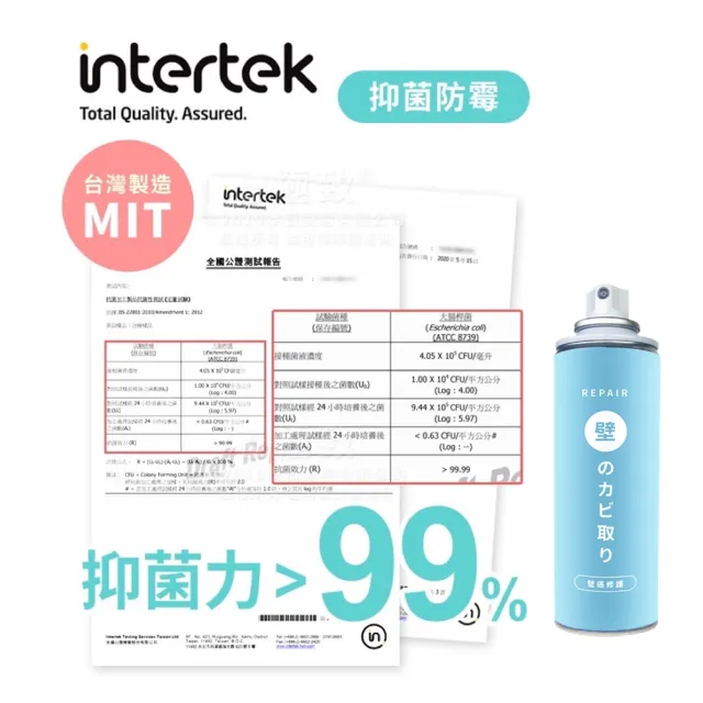 【寶媽咪】TW超值強效修復壁癌噴霧2+2入(防黴速乾雙效配方/防壁癌/十年不泛黃/去除牆上黴菌)