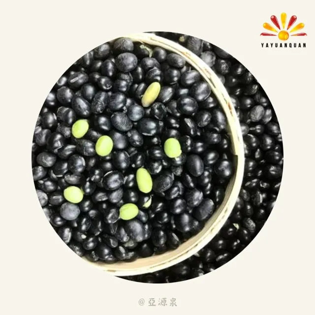 亞柏林 有機青仁黑豆 800g/包 有機黑豆 豆中之王 3入組