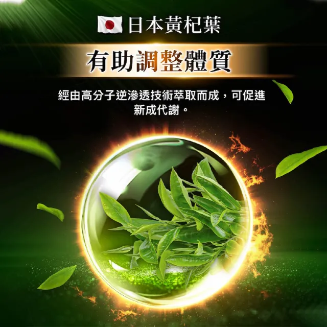 即期品【Dr. Calorie 美体專科】打卡錠GOLD+ 5盒(共150顆；長效燃燒)
