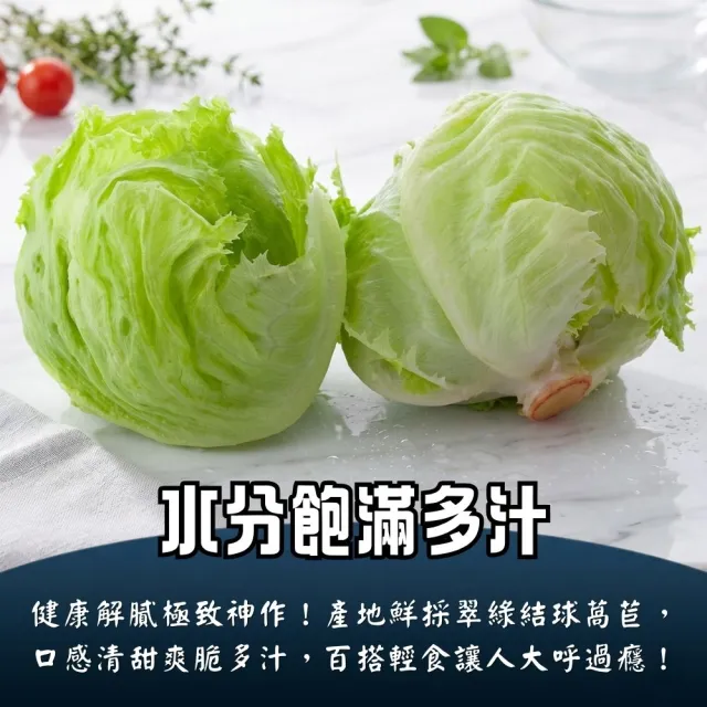 【鮮菓大王】進口特A級美生菜*3顆 特大 (300g-600g±10%/顆) 冷鏈直送 蔬食生活 新鮮進口