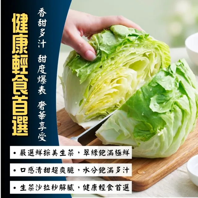 【鮮菓大王】進口特A級美生菜*3顆 特大 (300g-600g±10%/顆) 冷鏈直送 蔬食生活 新鮮進口