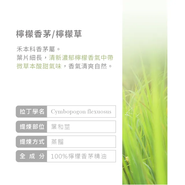 【ANDZEN】安得仁 澳洲單方純精油 檸檬香茅/檸檬草100ml+喜馬拉雅山雪松100ml+迷迭香30ml(草本清新)