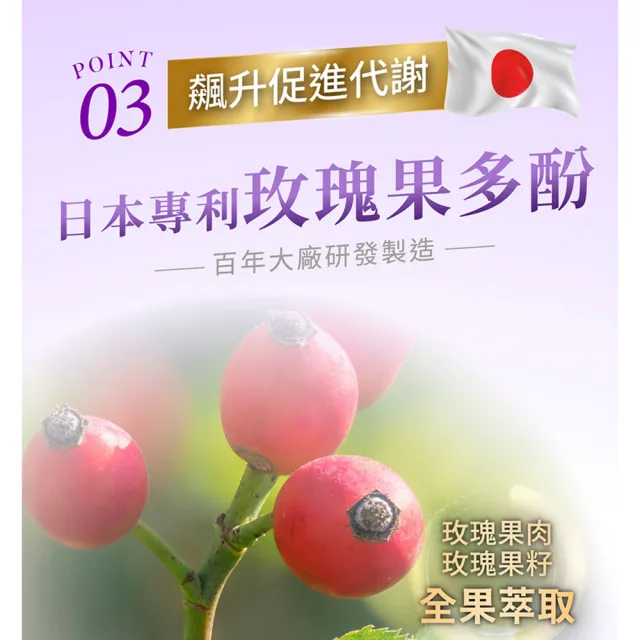 【iVENOR】專利玫瑰果多酚 紫孅果x8盒(紫茶 白皮衫醇 抑制囤積)