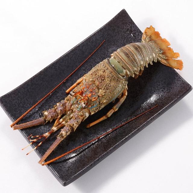 【華得水產】野生頂級龍蝦4隻組(200-250G/隻)