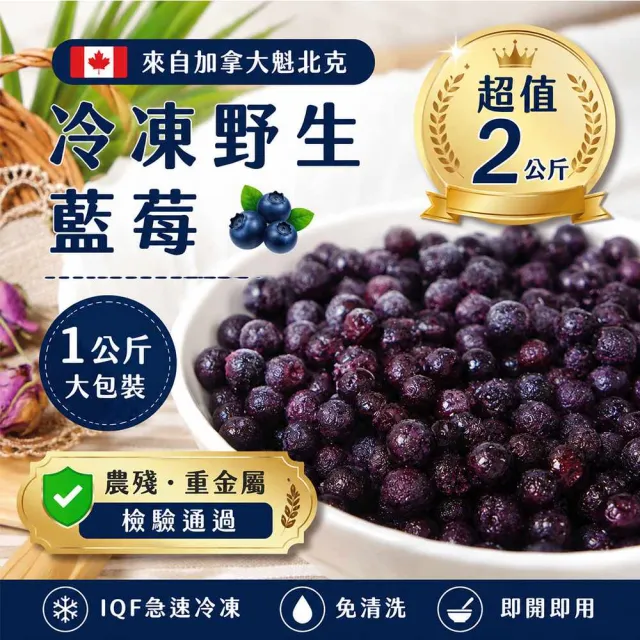 【幸美生技】(環保包裝)冷凍野生小藍莓2包組1kgx2包 加拿大進口 (送驗 農殘/重金屬 檢驗通過)