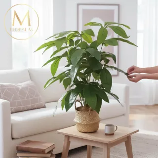 【Floral M】財源滾滾發財樹70cm仿真植栽(贈編織籃)(人造植栽/仿真樹/室內佈置/居家裝飾/桌上型植栽)