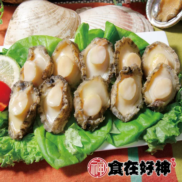 世界之最東山島頂級大規格鮑魚清肉