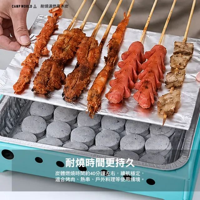 【逐露天下】耐燒速燃果木炭 1盒10包100顆 露營木炭 烤肉燃料 速燃起火 低煙少味 逐露天下