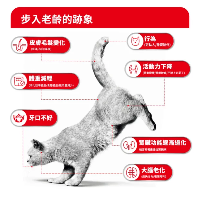 【ROYAL 法國皇家】老貓11+歲專用乾糧A30+11 2KG(貓飼料 老齡貓 低脂保養 腎臟健康)