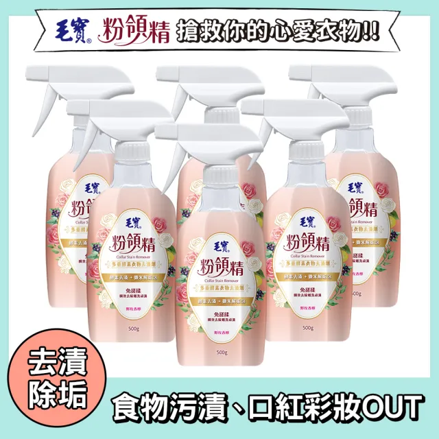 【毛寶】粉領精-多重酵素衣物去漬劑-SOUSOU(500gX6入)