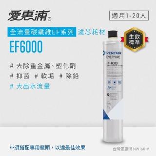 【EVERPURE 愛惠浦】EF6000碳纖活性碳濾芯(DIY更換)