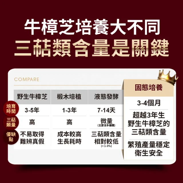 【EatBLISS 益比喜】健字號 就甘清牛樟芝菌絲膠囊2入組(30入/盒 護肝 增強體力 提振精神)