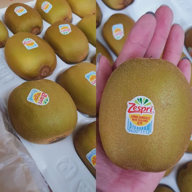 【黑貓嚴選】《玖青》紐西蘭黃金奇異果4箱 (3306g/箱；22-25顆/箱)