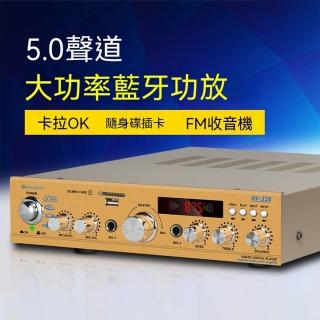 大功率專業功放機 家用音箱藍芽插卡收音卡拉OK發燒級HIFI功放（110V）