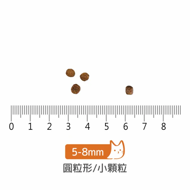 【Go!】鮭魚 6磅 腸胃保健系列 全貓配方(貓糧 貓飼料 腸胃敏感 益生菌 全齡貓 寵物食品)