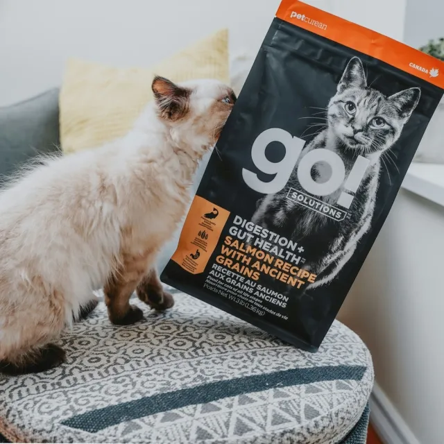 【Go!】鮭魚 6磅 腸胃保健系列 全貓配方(貓糧 貓飼料 腸胃敏感 益生菌 全齡貓 寵物食品)