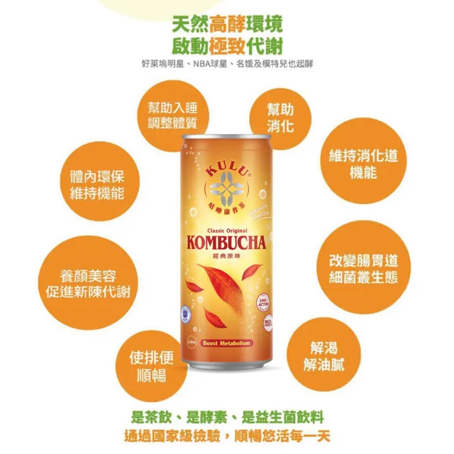 【KuluDrink 咕嚕茶】經典原味 250ml 24入/1箱(氣泡飲 康普茶 益生菌 益生質 kombucha)