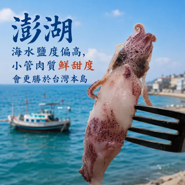 【老張鮮物】澎湖有墨熟小管/冰卷 10包組(300g±10%/包 每隻8公分以下)