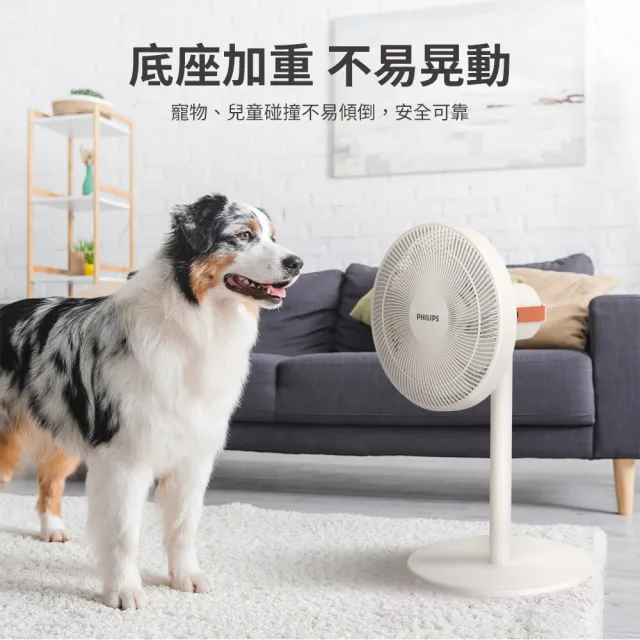 【Philips 飛利浦】超值2入組-14吋 可定時DC智能變頻風扇 7片扇葉設計-檯立兩用(ACR3241SFD)