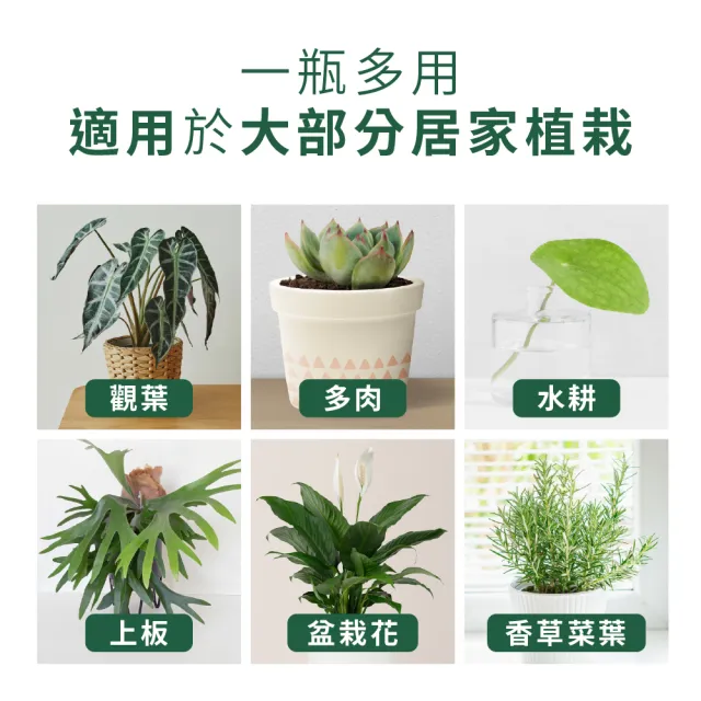 【1%植物關鍵】1%植物營養精華60ml(觀葉植物肥料 室內盆栽液肥 多肉植物養分 居家植栽營養劑 營養液)