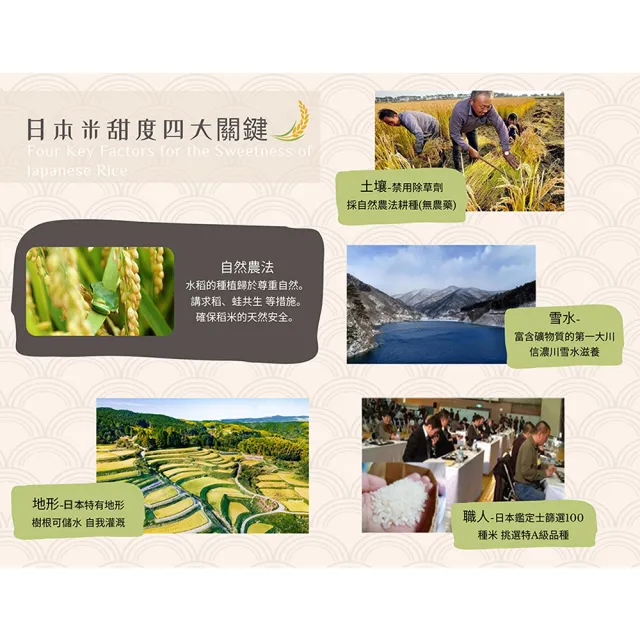 【悅•生活】日本米 白米 壽司米  新潟縣日式飯店專用謹製越光米2kg/包(谷穗 特A級)