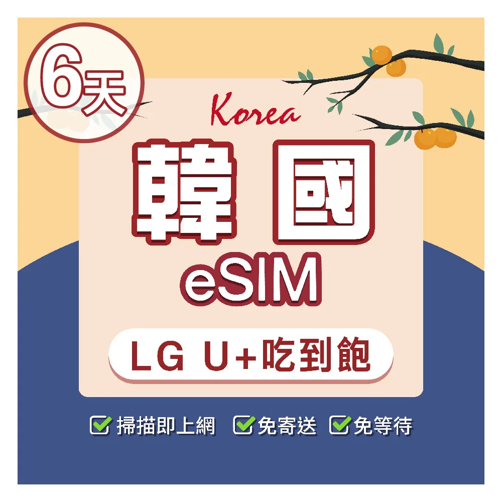 【環亞電訊】eSIM韓國6天吃到飽不降速(eSIM 24H自動發貨 虛擬卡 韓國網卡 環亞電訊)