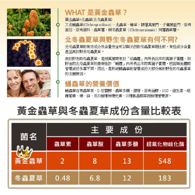 【草本之家】黃金蟲草6入組(90粒/入)(蛹蟲草)