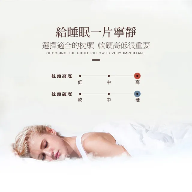 【ISHUR 伊舒爾】3D天絲獨立筒枕1入 台灣製造(贈天絲枕套1入/TENCEL/枕頭)