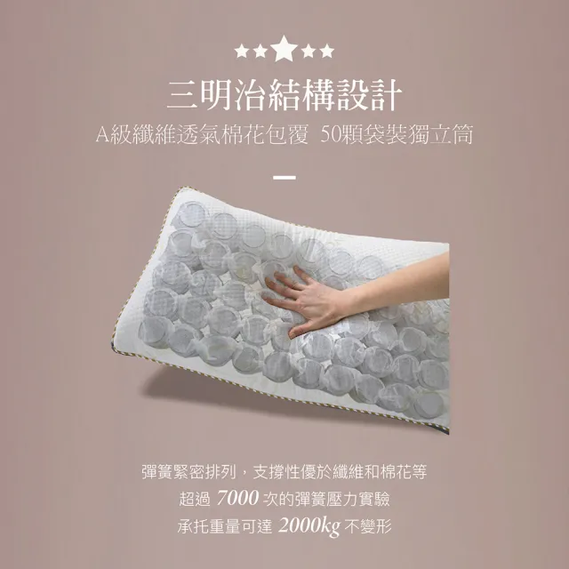 【ISHUR 伊舒爾】3D天絲獨立筒枕2入 台灣製造(加碼贈天絲枕套2入/TENCEL/枕頭)