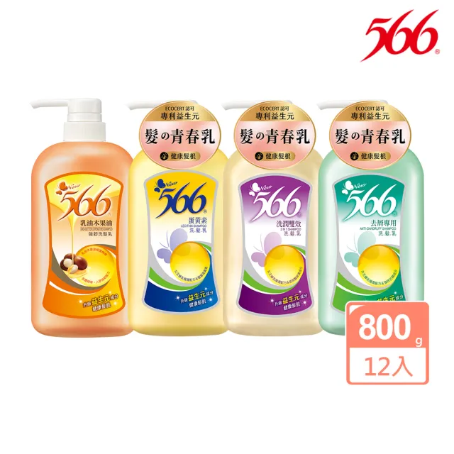 【566】經典洗髮乳-800gx12(去屑專用/洗潤雙效/蛋黃素/乳木強韌 箱購特惠)