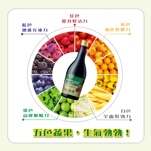 【ESSENTURE 大漢酵素】V52蔬果植物醱酵液3入組(600ml/瓶)-低鈉 52種蔬果精華 酵素 順暢 全素)