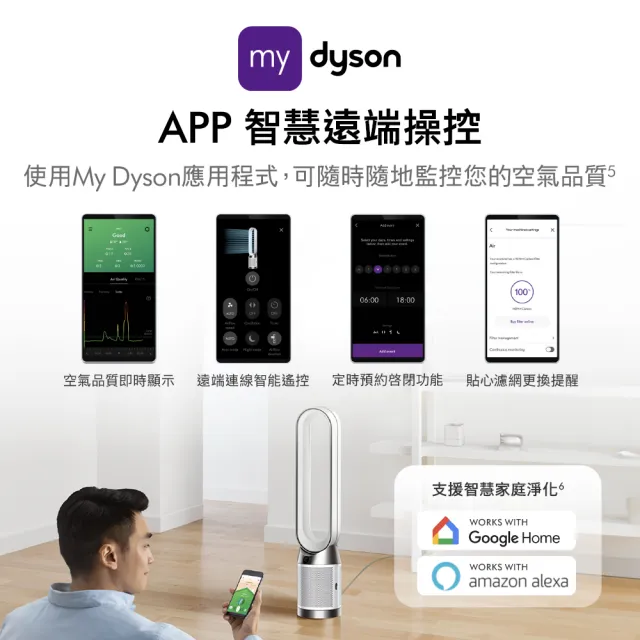 【dyson 戴森】TP11 Purifier Cool 二合一涼風智能空氣清淨機(黑色)