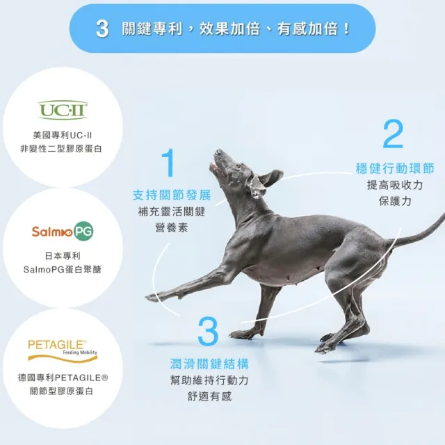 【Natural10 自然食】寵立善 寵物關節保養粉30g*1罐(犬貓專用UC-II關節 寵物關節保健 狗關節 貓關節)