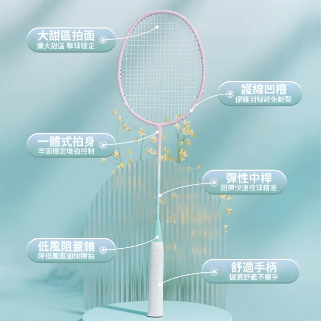 【QLZHS】鋁合金輕量減震羽毛球拍 對拍組 穿線拍 比賽訓練羽毛球拍套組 羽拍 進攻型球拍 (贈3尼龍球)