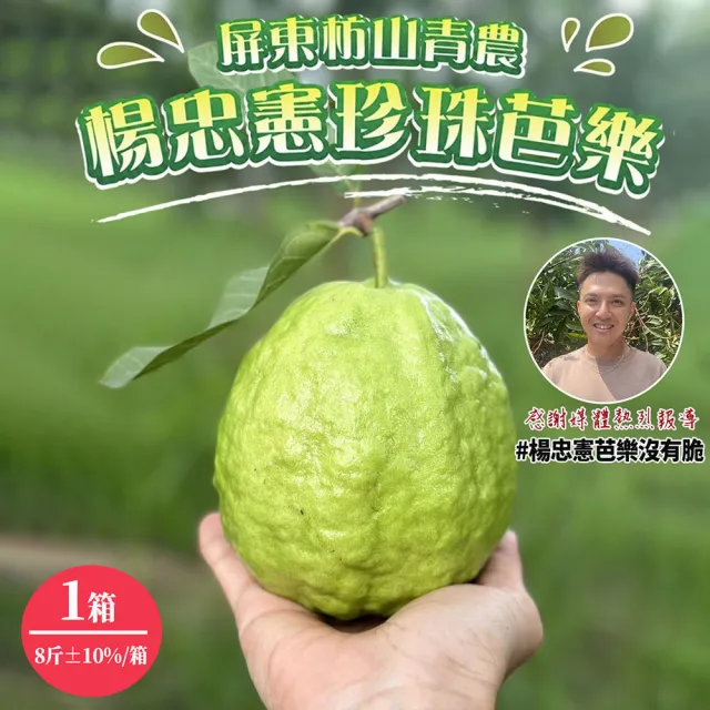 【初品果】各大媒體專訪 青農楊忠憲 牛奶珍珠芭樂禮盒8斤x1箱(大小粒數不限 冷藏宅配 屏東產地直送)