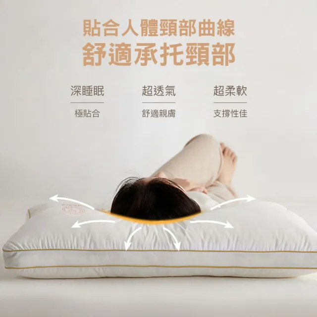 【ISHUR 伊舒爾】水鑽超柔立體羽絲枕1入(贈天絲枕套1入/羽絨枕/羽毛枕/枕頭)