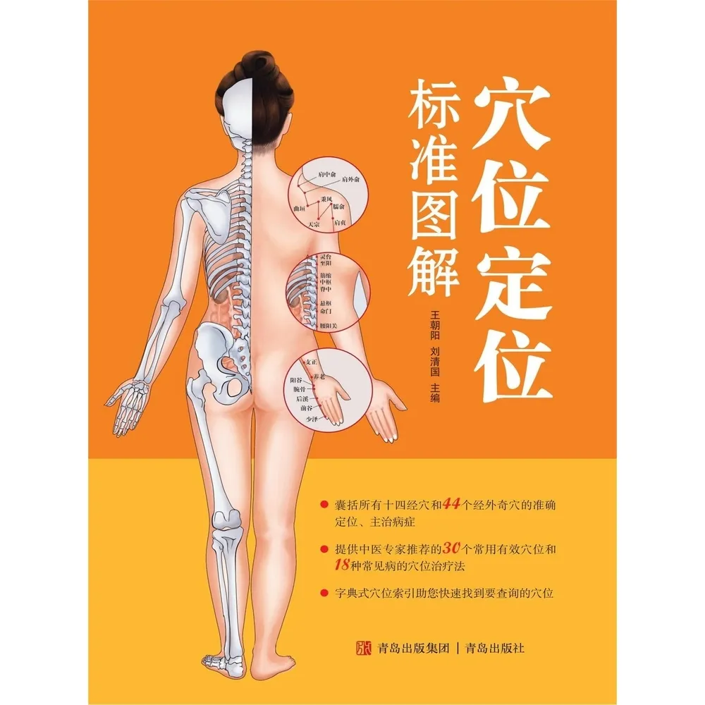 【momoBOOK】穴位定位標準圖解 簡體書(電子書)