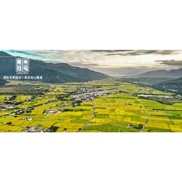 【樂米穀場】台東關山鎮農會良質米2.5kgX3(日式炸豬排店指定用米)