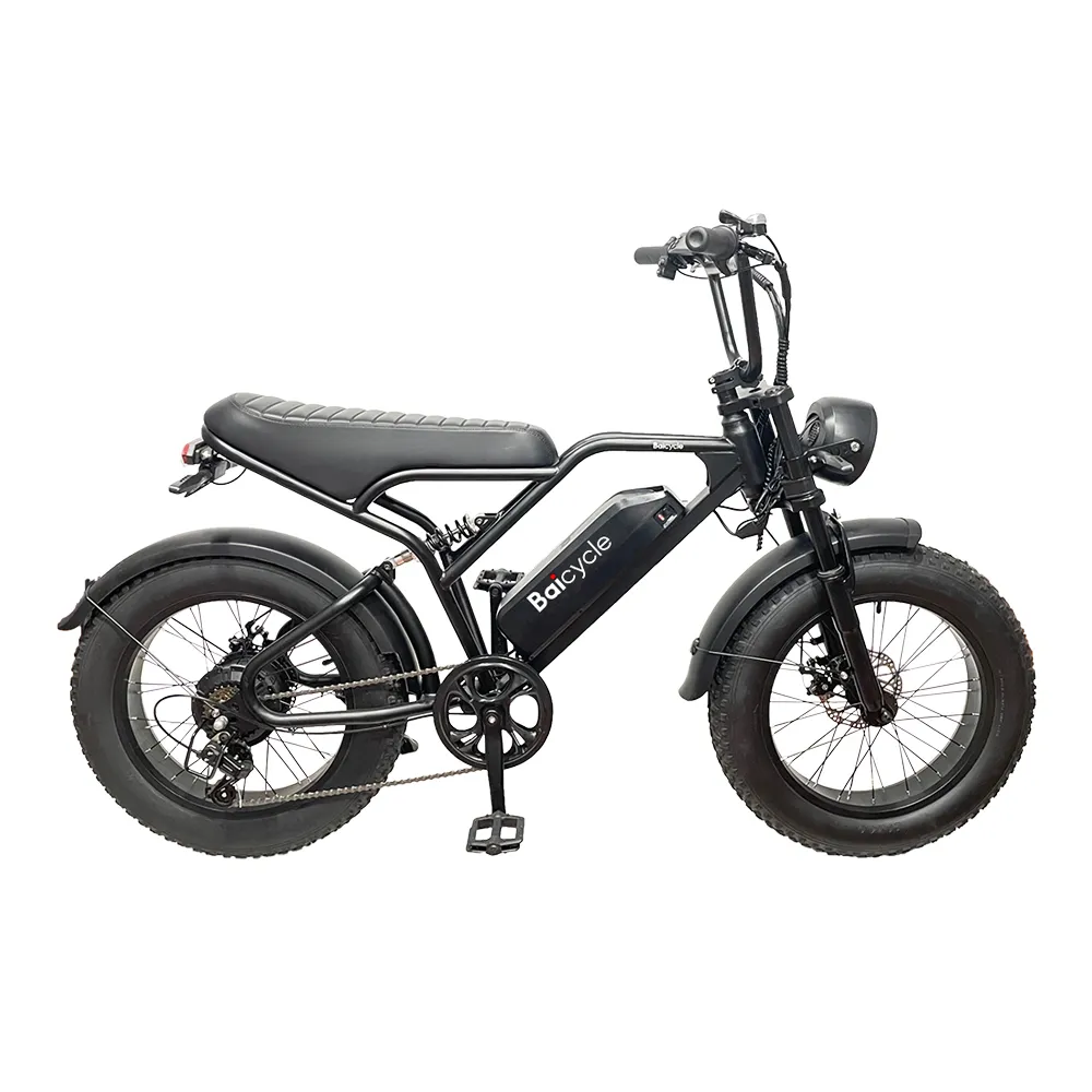 【Baicycle】SP4 48V胖胎復古電動輔助自行車