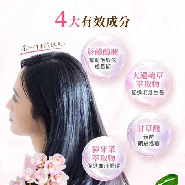 【RANMU蘭夢 官方直營】精粹養髮液100mLx6入組(頭皮精華 頭皮護理 養髮精華)